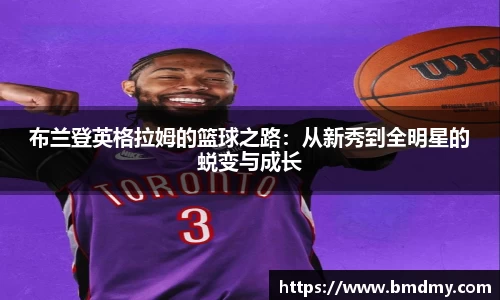 快盈V
